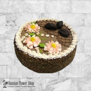 Chocolate cake